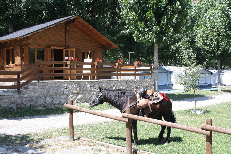 La Guingueta D'Aneu Bungalows Nou Camping מראה חיצוני תמונה